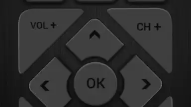 Videocon IR Remote screenshot 4