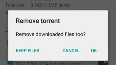 CatTorrent screenshot 4