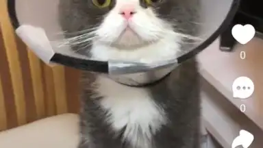 Snack Video screenshot 3
