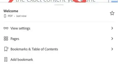Adobe Acrobat Reader screenshot 2