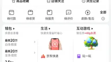 Jingdong screenshot 7