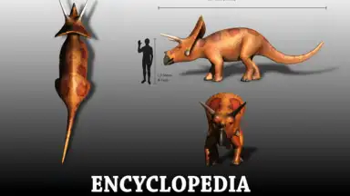 Dinopedia screenshot 4