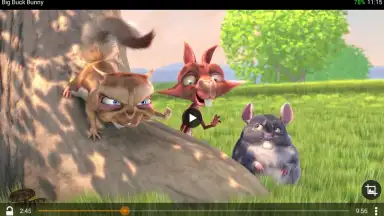 VLC screenshot 6