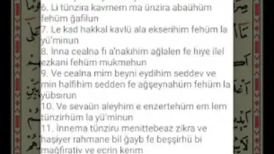 Yasin Suresi screenshot 2