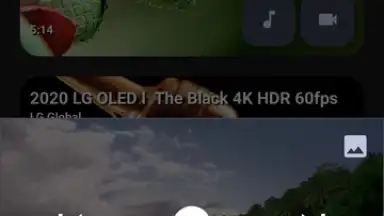YTDLnis screenshot 12