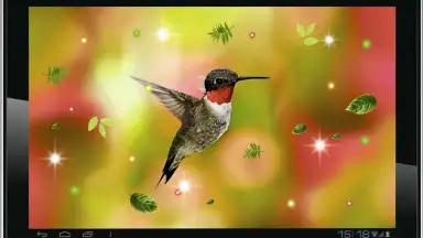 Colibri Spring 3D LWP screenshot 4