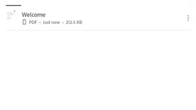 Adobe Acrobat Reader screenshot 12