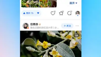 Zhihu screenshot 7