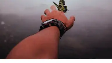 vimage screenshot 6