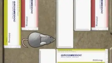 Mouse Trap screenshot 2