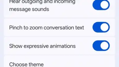 Google Messages screenshot 16