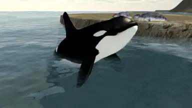 Orca Simulator screenshot 6