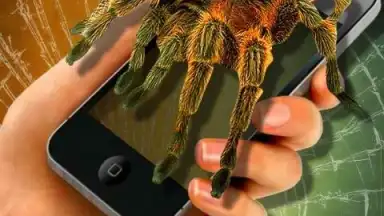 Паук в Камере Пранк screenshot 1
