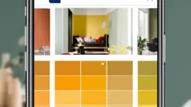 Dulux Visualizer IN screenshot 4