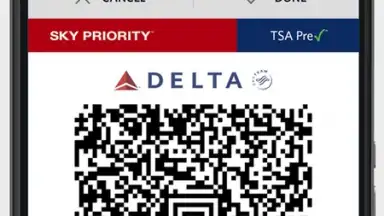 Fly Delta screenshot 3