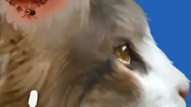 Cat ASMR: Salon Makeover screenshot 6