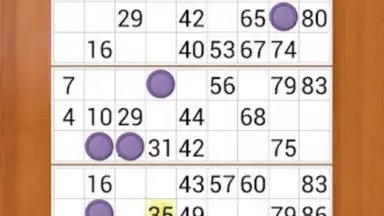 Loto Online screenshot 1