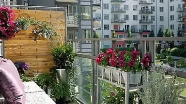 Garden Design Ideas screenshot 2