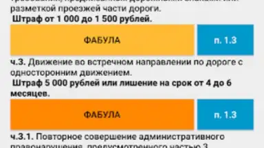 Памятка сотруднику ДПС ГИБДД screenshot 4