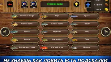 Рыбный дождь screenshot 1