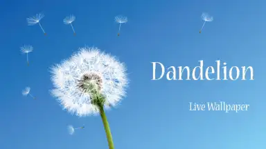 Dandelion screenshot 4