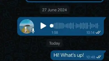 WhatsApp Business screenshot 10