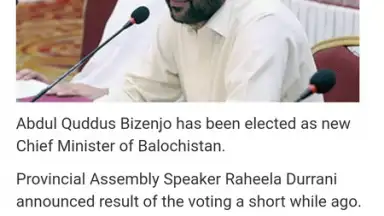 Pak Browser screenshot 3