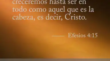 Biblia Diaria screenshot 2