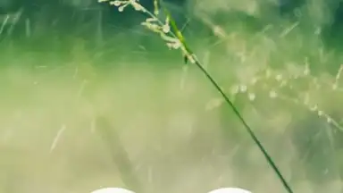 Meditation Music Metapps screenshot 6