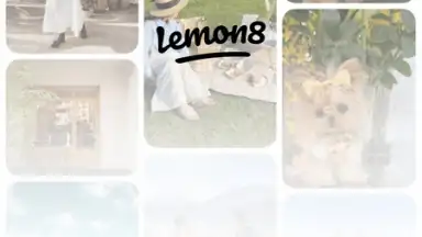 Lemon8 screenshot 7