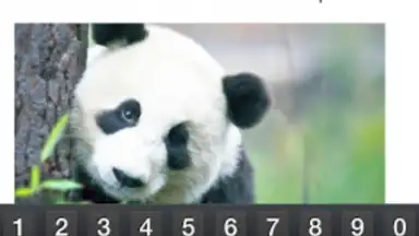 Microsoft Office Mobile screenshot 1