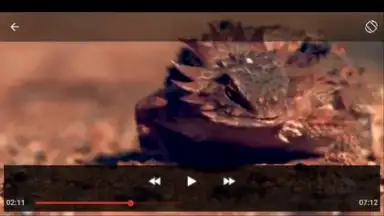Youtube Play&Download screenshot 5