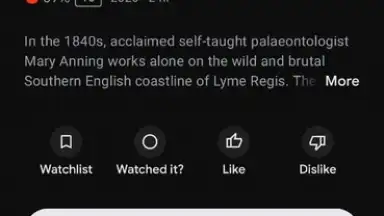 Google TV screenshot 6
