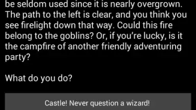 Medieval Fantasy RPG screenshot 8