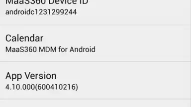 MaaS360 MDM for Android screenshot 4
