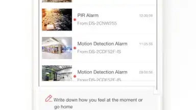 Hik-Connect screenshot 6