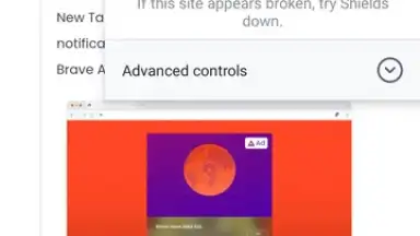 Brave Browser (Beta) screenshot 4