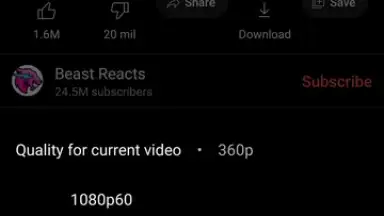 ReVanced Extended screenshot 4