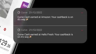 Curve screenshot 8