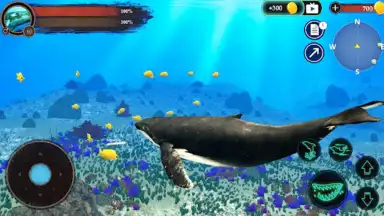 The Humpback Whales screenshot 24