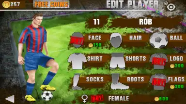 Football Kicks screenshot 4