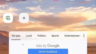Opera Browser screenshot 12