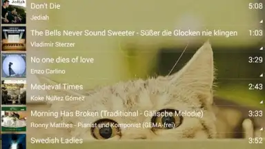 Music Player - Audio Player screenshot 5