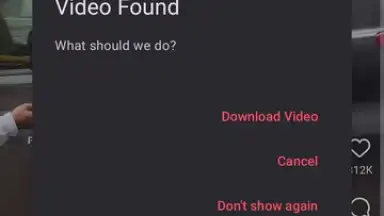 VidMad Video Downloader screenshot 2