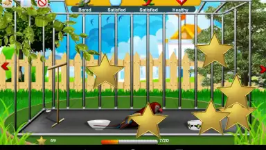 Parrot Pet Shop screenshot 6