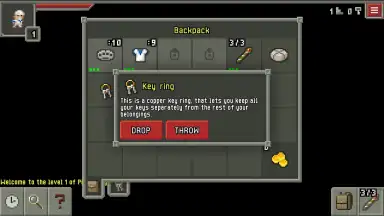 Pixel Dungeon ML screenshot 11