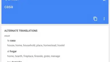 Google Translate screenshot 3