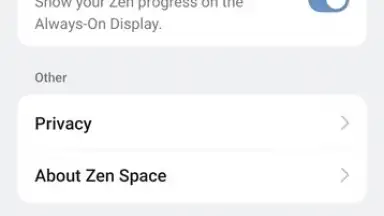 Zen Space screenshot 13