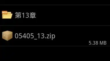 ZIP with Pass screenshot 3