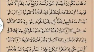 Quran Karim screenshot 3